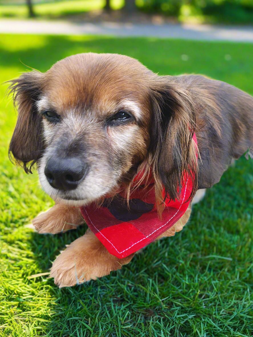 Dog Bandana - Red Black Buffalo Check Bandana - DBC Baby Bedding Co 