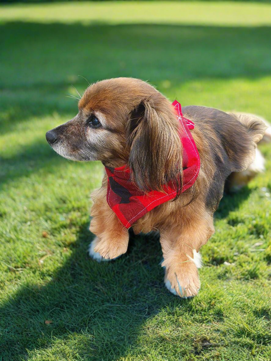 Dog Bandana - Red Black Buffalo Check Bandana - DBC Baby Bedding Co 