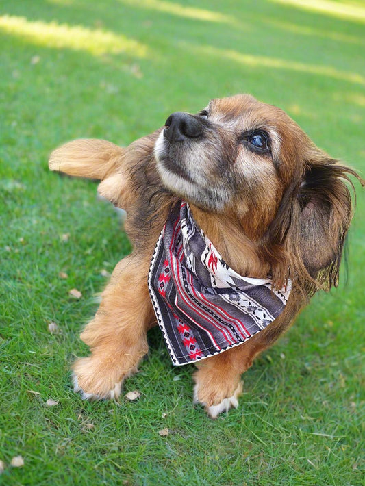 Dog Bandana - Gray Aztec Western Bandana