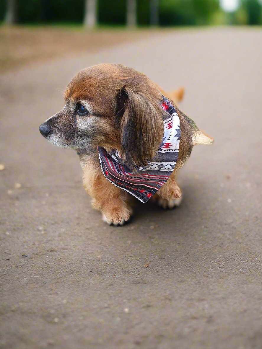 Dog Bandana - Gray Aztec Western Bandana - DBC Baby Bedding Co 