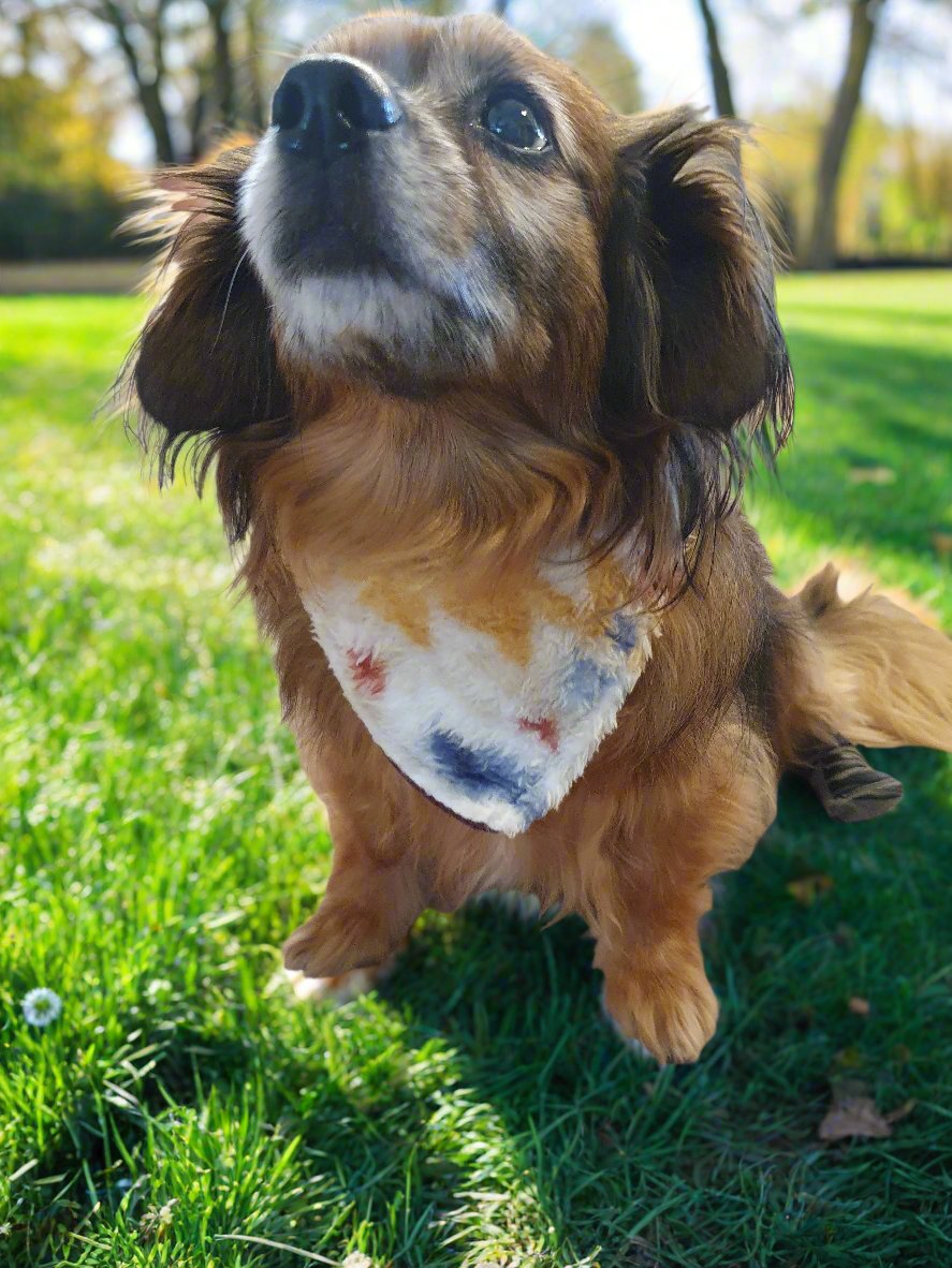 Dog Bandana - Rio Aztec Western Bandana