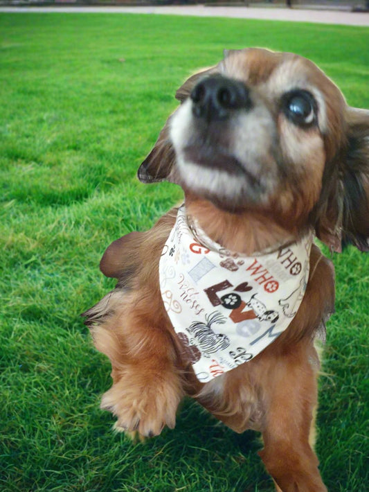 Dog Bandana - Love My Dog Bandana - DBC Baby Bedding Co 