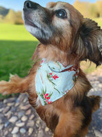 Dog Bandana - Barn Dandy Western Bandana - DBC Baby Bedding Co 