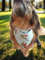 Dog Bandana - Barn Dandy Western Bandana - DBC Baby Bedding Co 