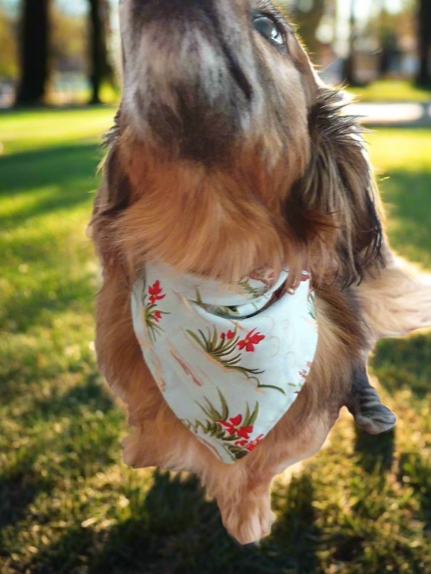 Dog Bandana - Barn Dandy Western Bandana - DBC Baby Bedding Co 