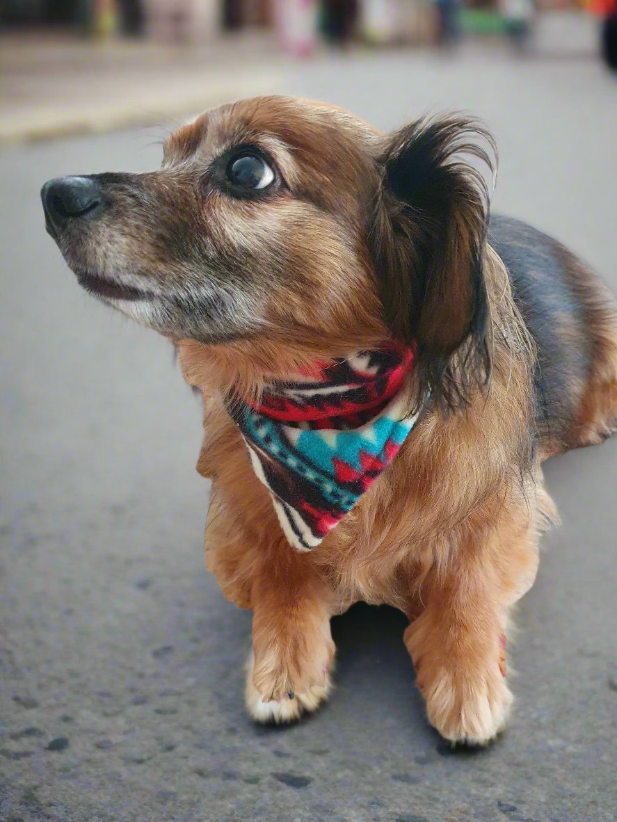 Dog Bandana - Cream Aztec Western Bandana