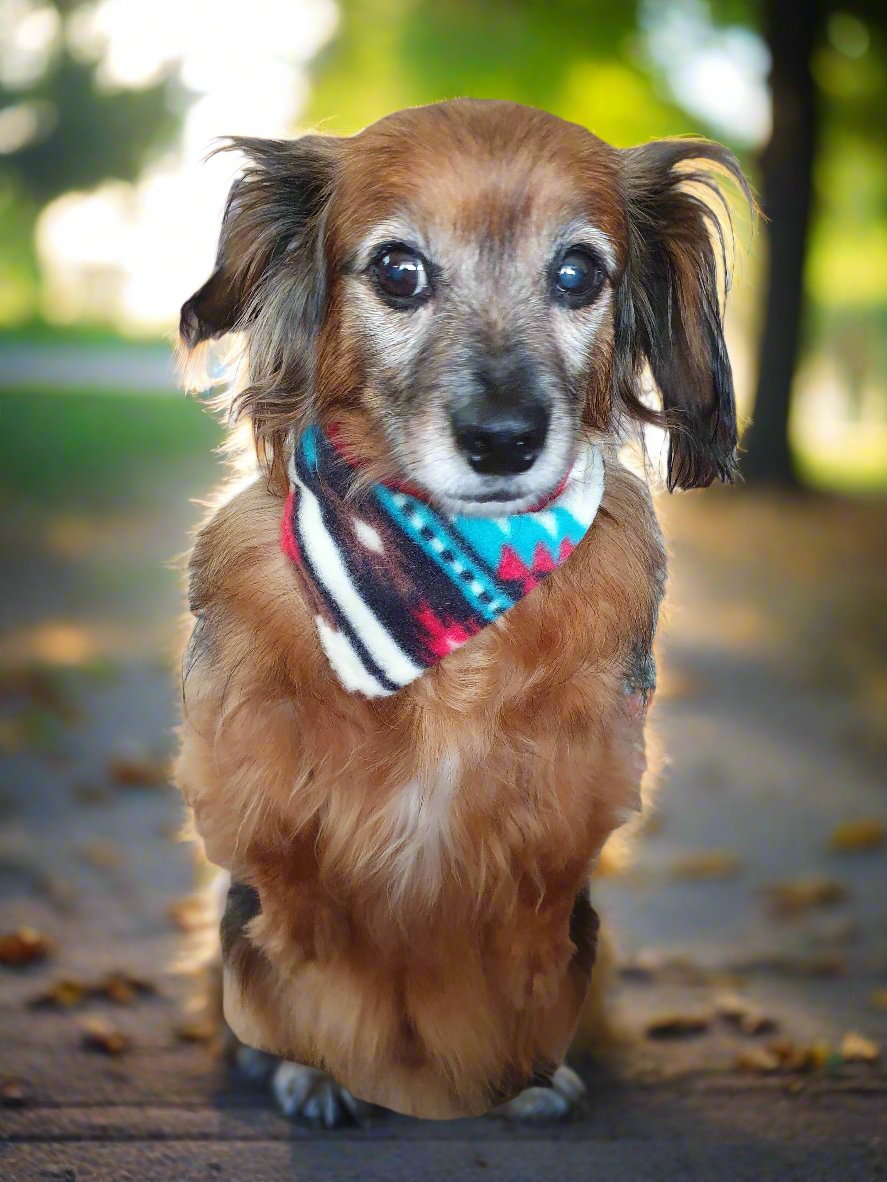 Dog Bandana - Cream Aztec Western Bandana