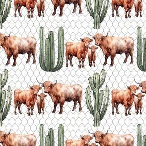 New Release Boy Crib Bedding- Highland Cow and Cactus Western Baby & Toddler Bedding Collection - DBC Baby Bedding Co 