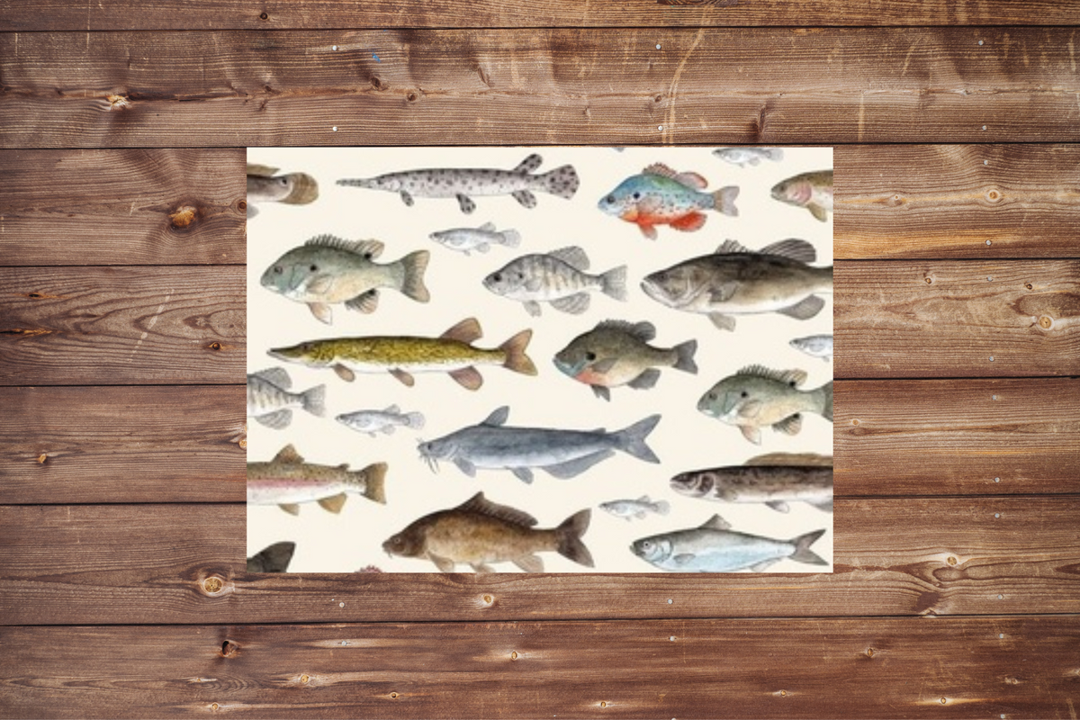 On the Go Changing Pad- Fresh Water Fish and Minky Interior - DBC Baby Bedding Co 