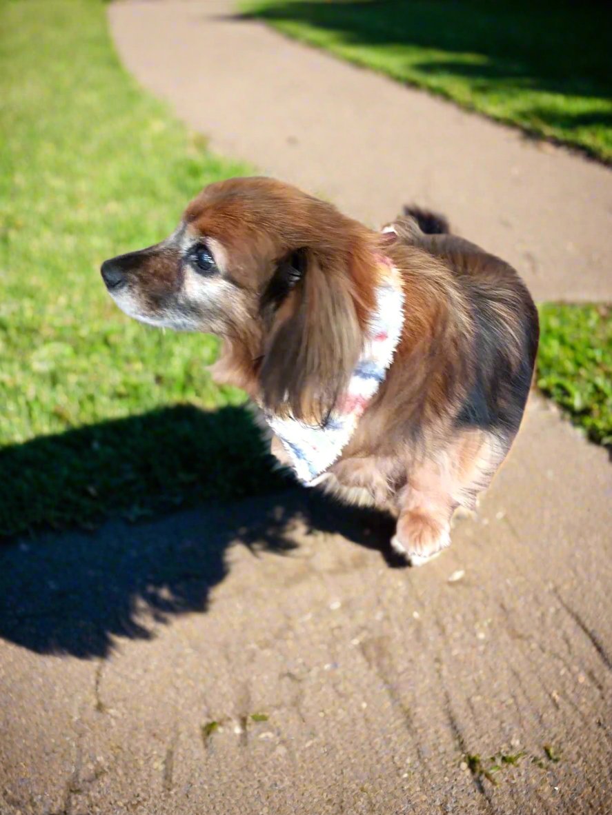 Dog Bandana - Rio Aztec Western Bandana