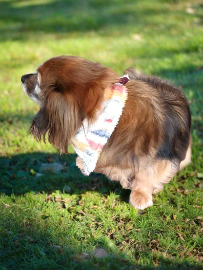 Dog Bandana - Rio Aztec Western Bandana