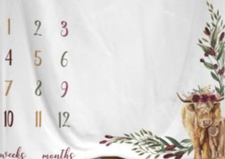 Baby discount blanket calendar