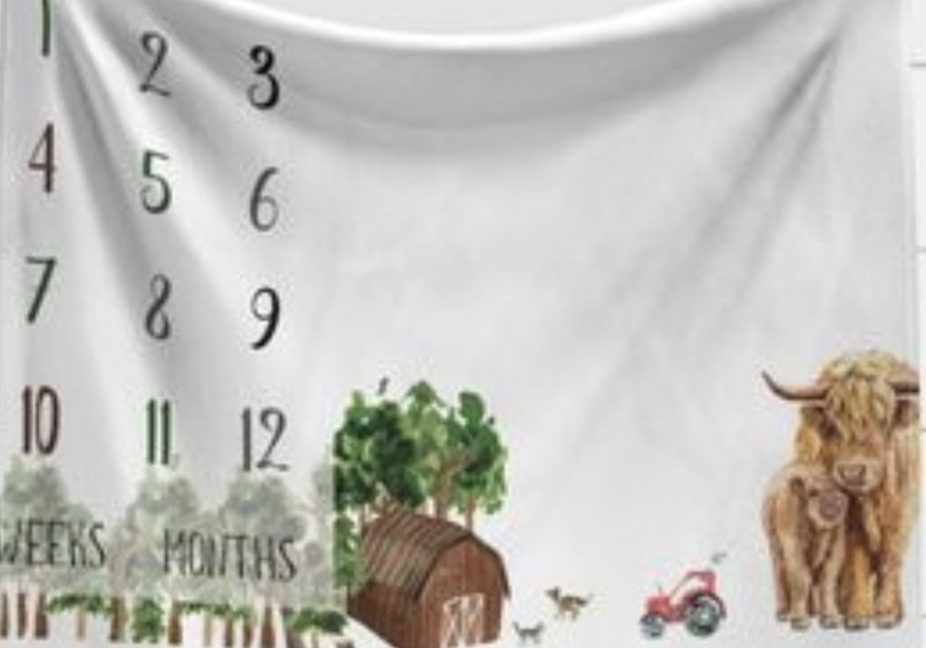 Custom Milestone Blanket Farm Highland Cow Minky Baby Blanket